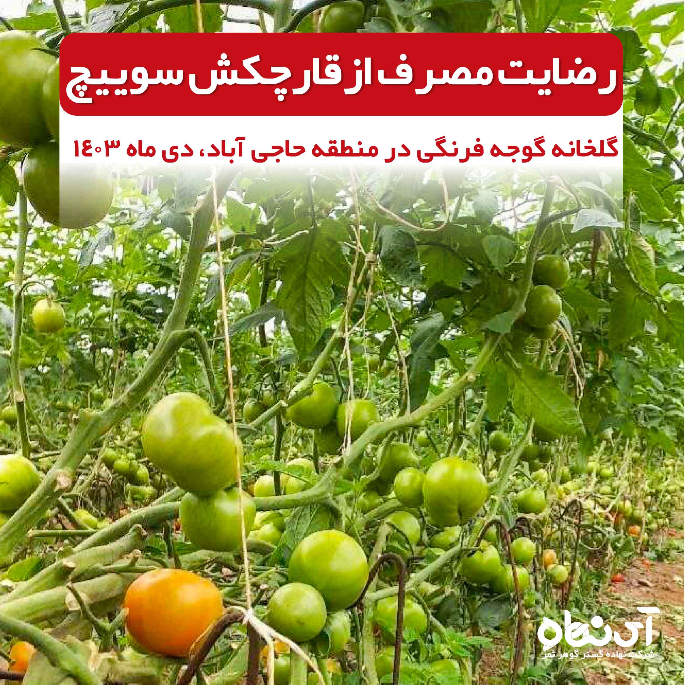 رضایت مصرف از قارچکش سوییچ